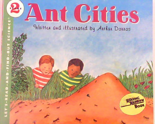 Ant Cities